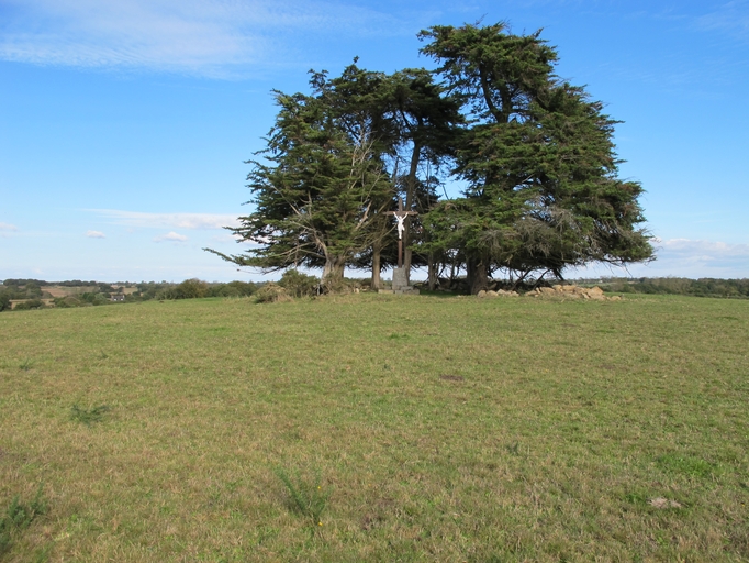 Croix dite "calvaire du Run" à l'ouest de Saint-Goulven (Lanvellec)
