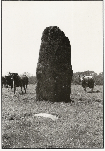 Menhir, Kergollot (Le Cloître Saint-Thégonnec)