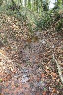 Moulin à papier, Tréflez (Coray)