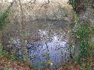 Ardoisière de Saint-Mélan (Porcaro)