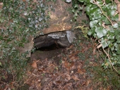 Fontaine (Pleumeur-Bodou)