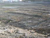 Bassin submersible de décantation, aujourd'hui détruit, le Fret (Crozon)