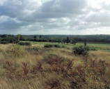 Ensemble mégalithique dénommé alignements de Cojoux (Saint-Just)
