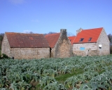 Ferme, Kerguscoat (Trévou-Tréguignec)