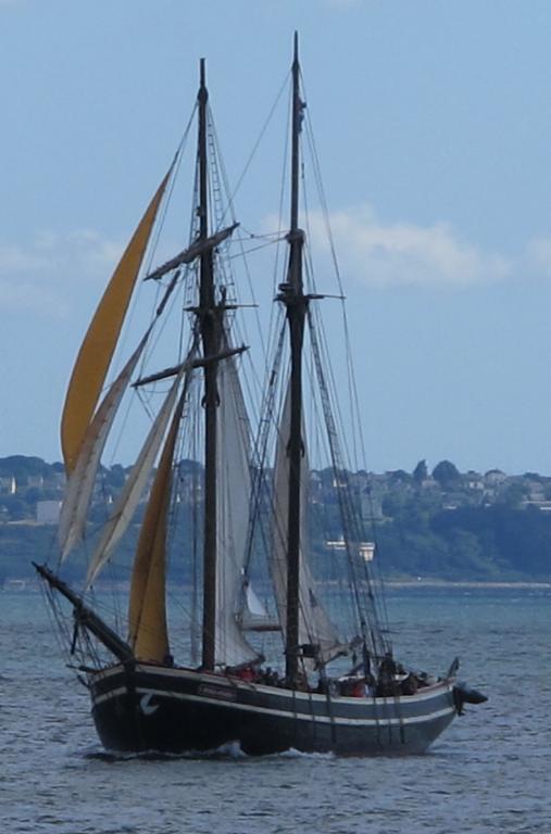 Bateau de charge, puis de plaisance dit Etoile de France