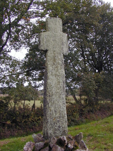 Croix de chemin, près de Aunay Hingan (Renac)