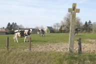 Les croix sur la commune de Poilley