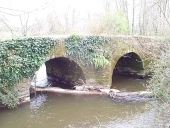 Pont, Buchet (Loutehel)