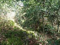 Ardoisières du canton de Mûr-de-Bretagne