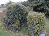 Fontaine, le Rocher ; le Couvent (Maxent)