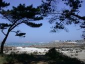 Présentation de la commune de Trégastel