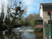Moulin à eau de Châtillon, allée de Seiche (Noyal-Châtillon-sur-Seiche)