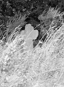 Les croix monumentales de la commune de Guer