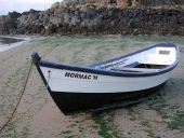 Doris de pêche côtière