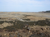 Réservoirs : pêcheries de Port-Béni (Pleubian)