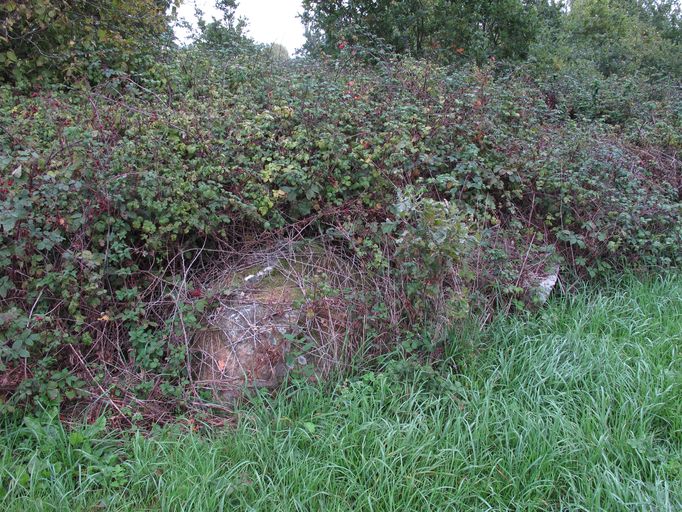 Menhir, la Bresselais (Monterrein fusionnée en Ploërmel en 2019)