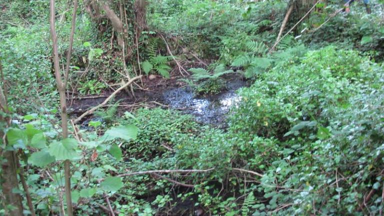 Les routoirs de la commune de Camlez