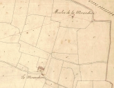 Ecart, la Morandière (Availles-sur-Seiche)