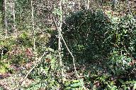 Moulin à papier, Quirin (Pleyber-Christ)