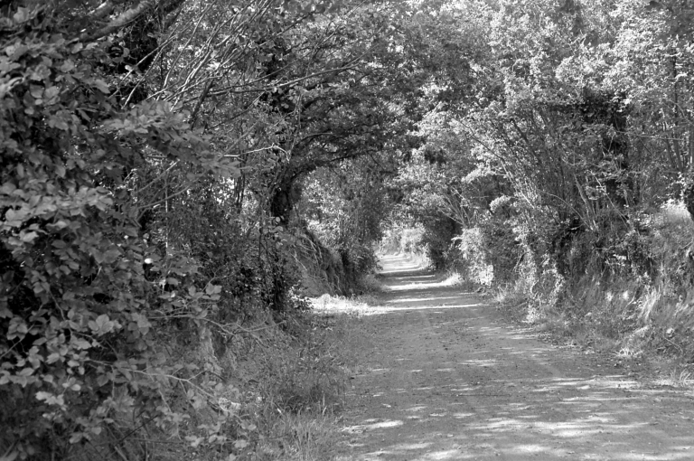 Présentation du canton de Carhaix-Plouguer