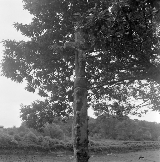 Croix de chemin, Kervignac (Poullan-sur-Mer)