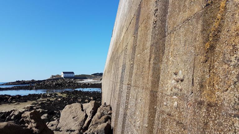 Môle (île-de-Batz)