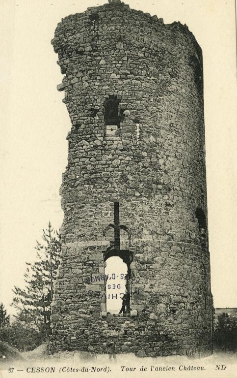 Tour de Cesson, Domaine de la Tour de Cesson, rue de la Tour (Saint-Brieuc)