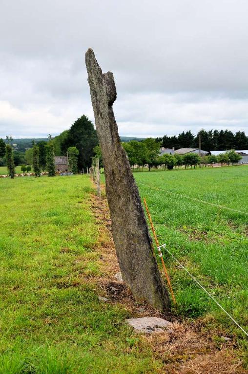 Croix de chemin aux Moines (Monteneuf)