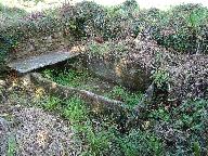 Kanndi de Kergrenn (Saint-Urbain)