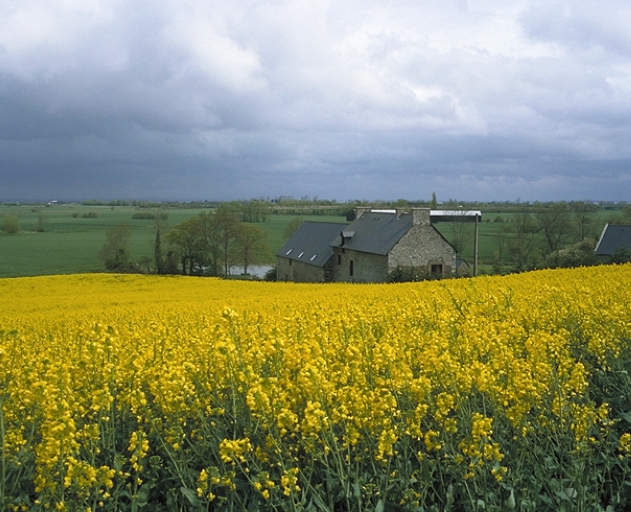 Ferme, Terlé (Saint-Méloir-des-Ondes)