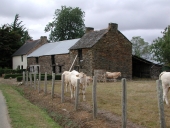 Alignement de maisons, le Pré (La Chapelle-de-Brain)