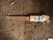 Outils de pêche à pied et outils de goémonier