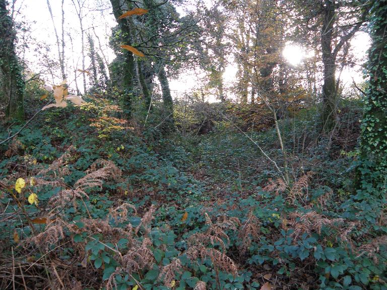 Ardoisière de Moulin Donnant (Saint-Hernin)