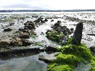 Moulin à marée de Landounic, Feunteun Vor  (Saint-Pol-de-Léon)
