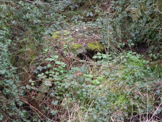 Fontaine du Roselier, le Port-Martin (Plérin-sur-Mer)