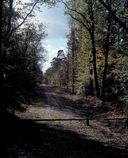 Présentation de la commune des Forges (fusionnée en Forges de Lanouée en 2019)