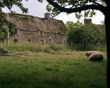Ferme, la Forêt (Brandivy)