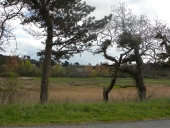 Front de mer de Gouermel (Penvénan)