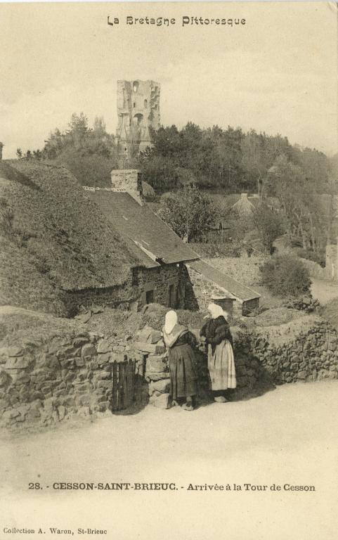 Domaine de la Tour de Cesson, rue de la Tour (Saint-Brieuc)