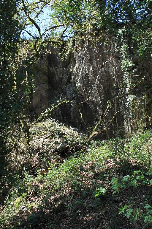 Les anciennes ardoisières de la commune de Saint-Coulitz