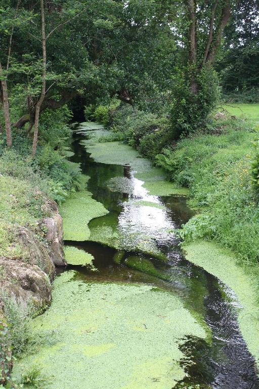 Moulin à papier, Coasvout (Saint-Thégonnec fusionnée en Saint-Thégonnec Loc-Eguiner en 2016)