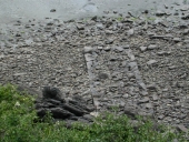 Cale du Port Jacquet (Saint-Cast-le-Guildo)