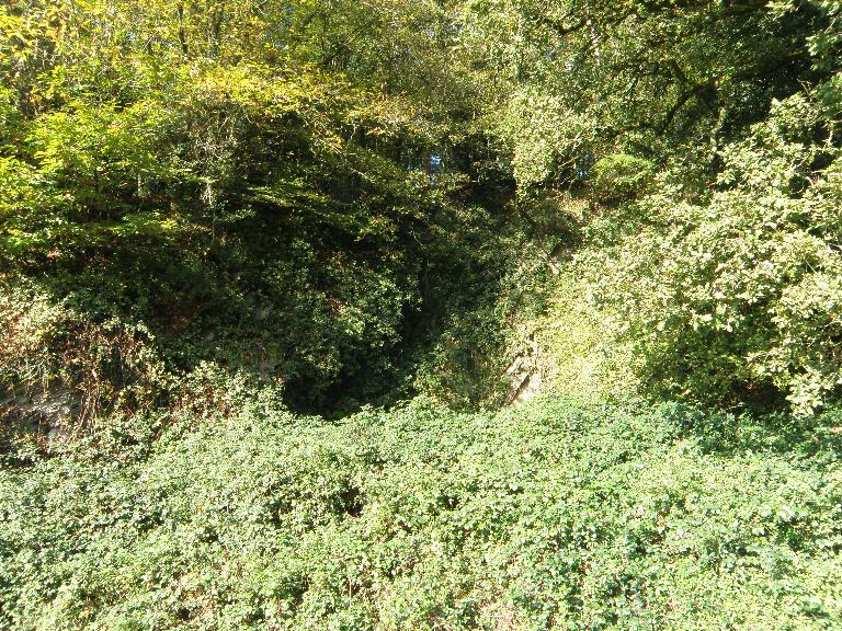 Ardoisière du Ster (Cléden-Poher)