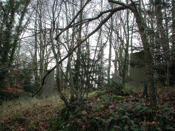 Croix de chemin et 2 dalles funéraires, près de la Ville Pion (Lanhélin fusionnée en Mesnil-Roc'h en 2019)