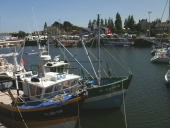 Bateaux de pêche, de collecte et de transport