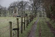 Menhir dit la Pierre d'en Haut, le Feu Lambert (Champeaux)