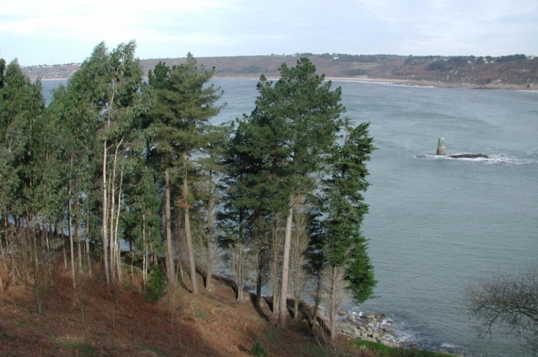 Espace vert : site naturel départemental du Dourven (Trédrez-Locquémeau)