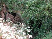 Soute à munitions double n° 3, Pointe de Penn-al-Lann (Carantec)