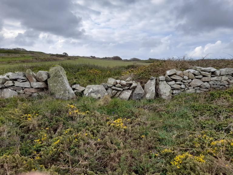 Murets de pierre sèche, Pointe du Van (Cléden-Cap-Sizun)