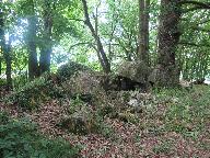 Allée couverte de Bel Even, Clos Belevau (Plouër-sur-Rance)